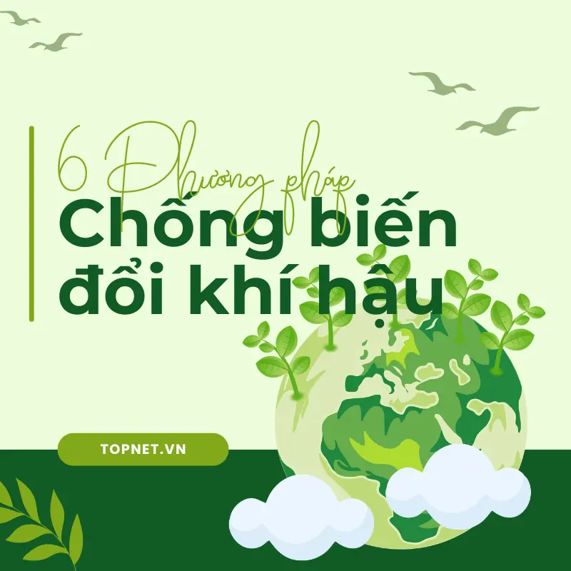 6 phương pháp chống biến đổi khí hậu tại nhà